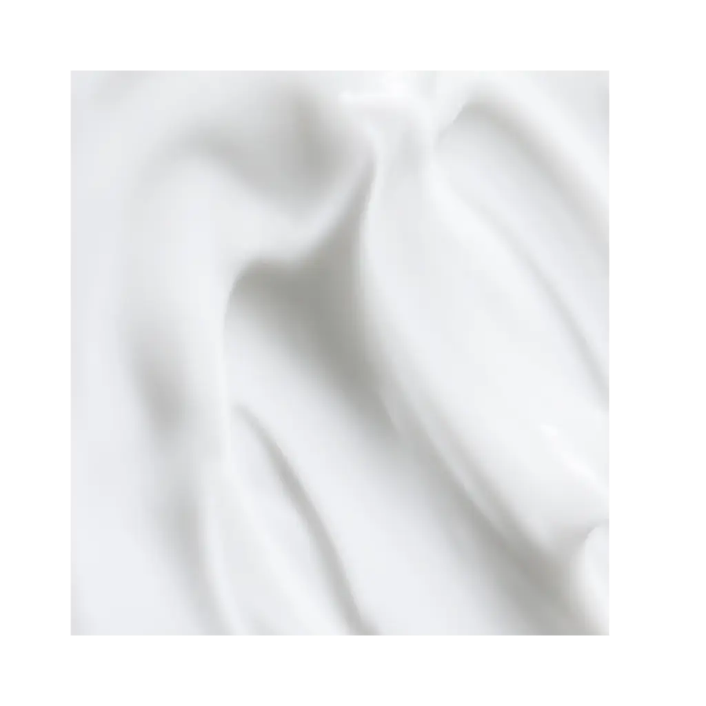 _FOTOS SFONDO 2 (1).webp