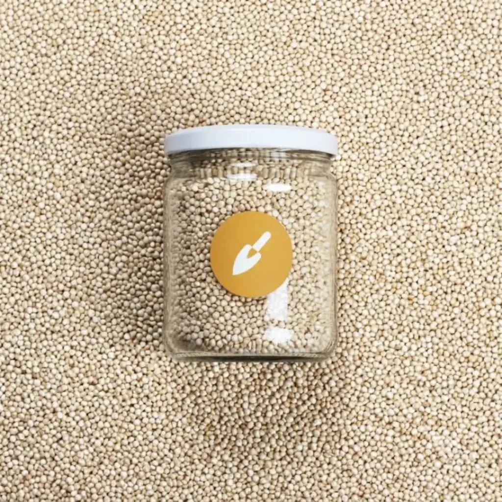 Quinoa Blanca