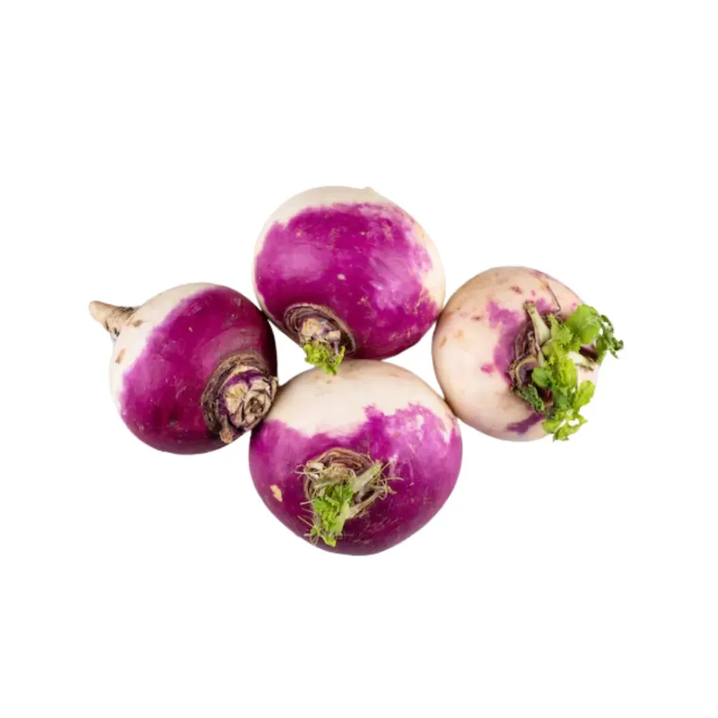 Rabanitos Morados / Mjo