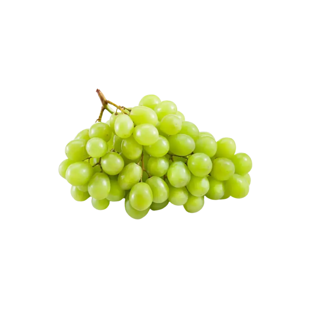 Uva Blanca