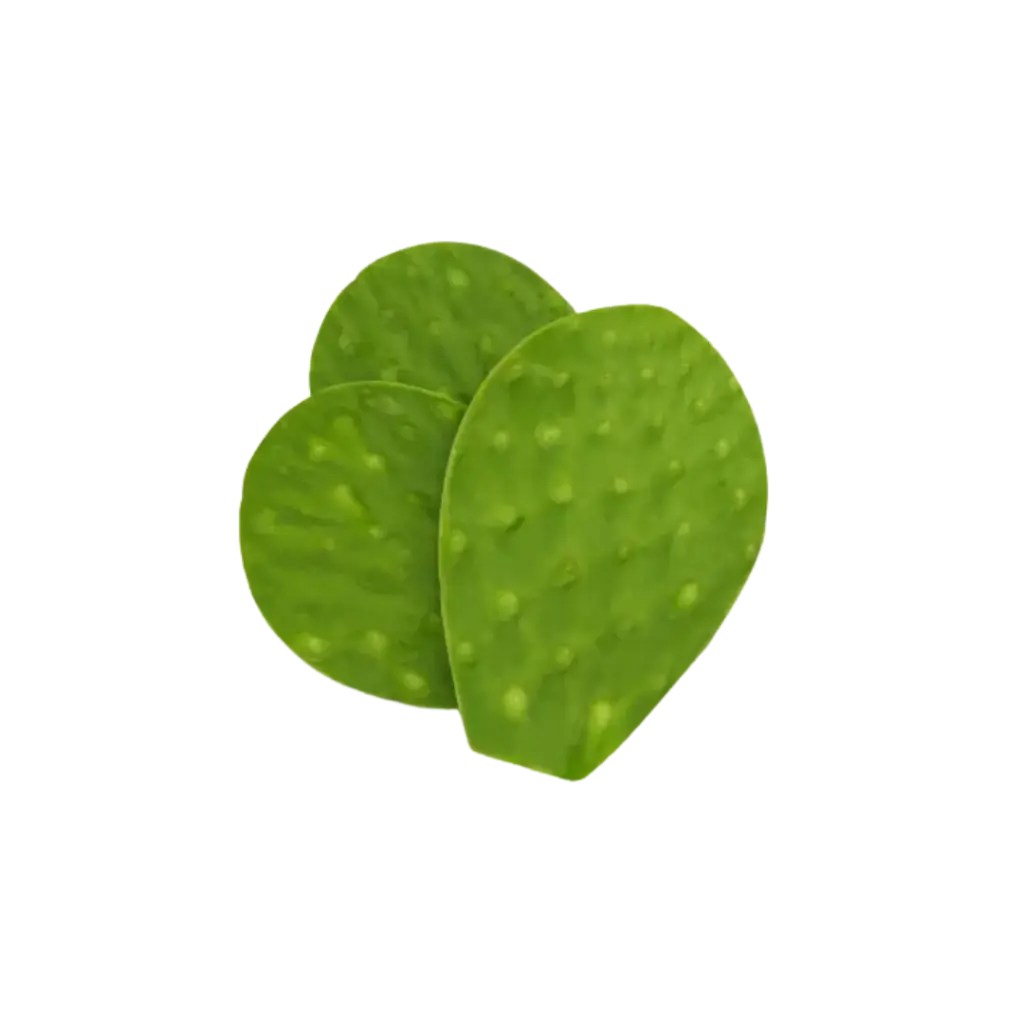 Nopal Limpio