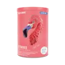 Birdman Fitmingo Proteina Blueberry 510gr - 15 Servicios