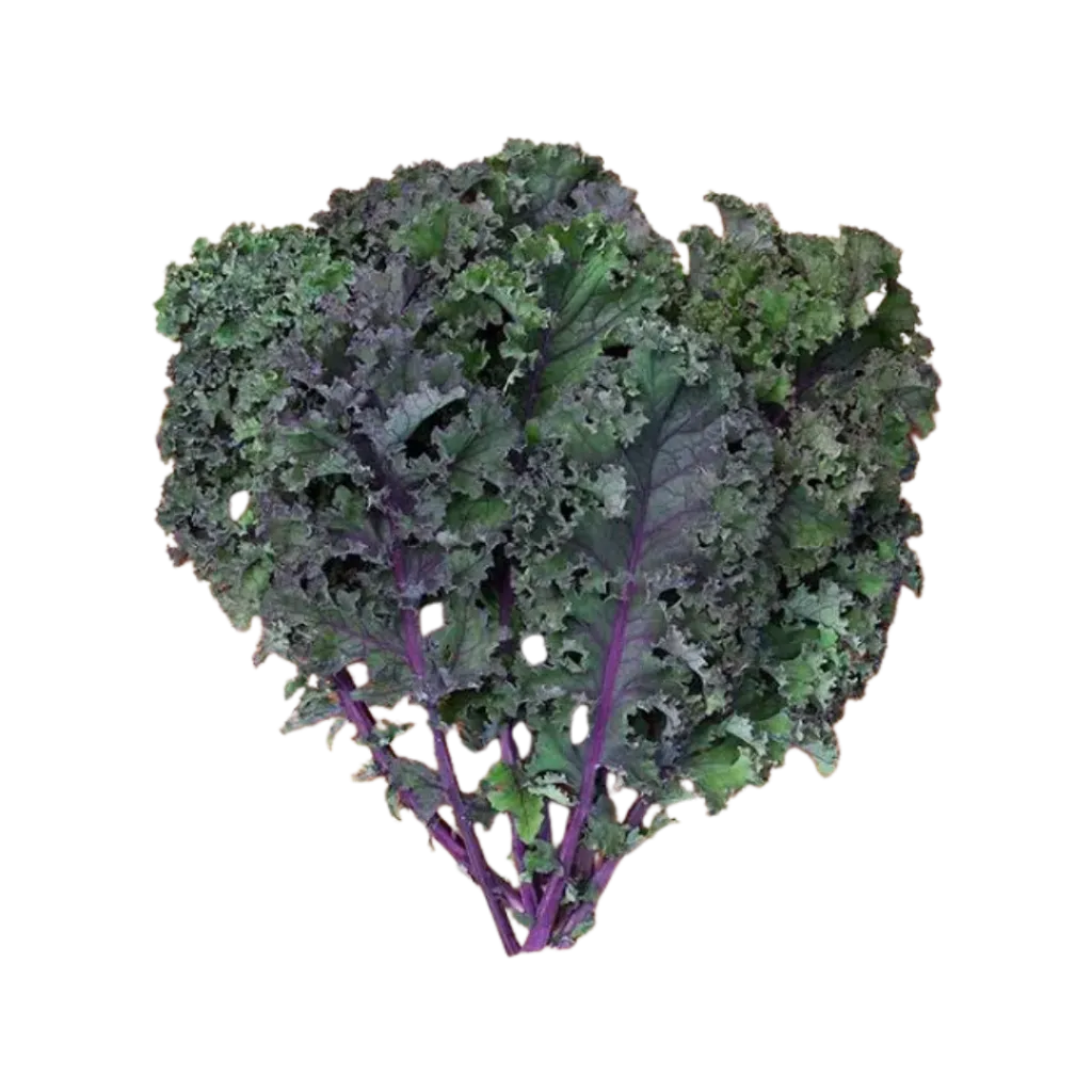 Kale Morado / Mjo