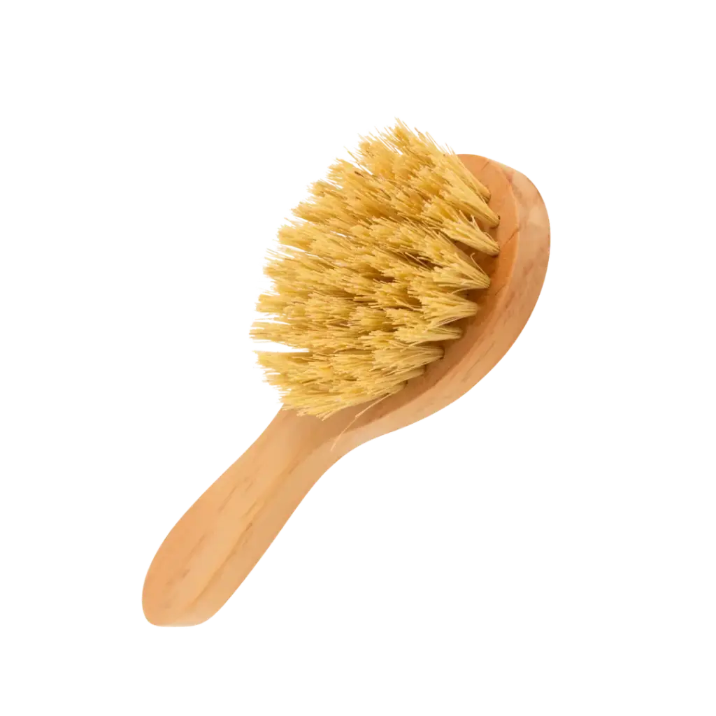 Cepillo Corporal con mango para Baño 
