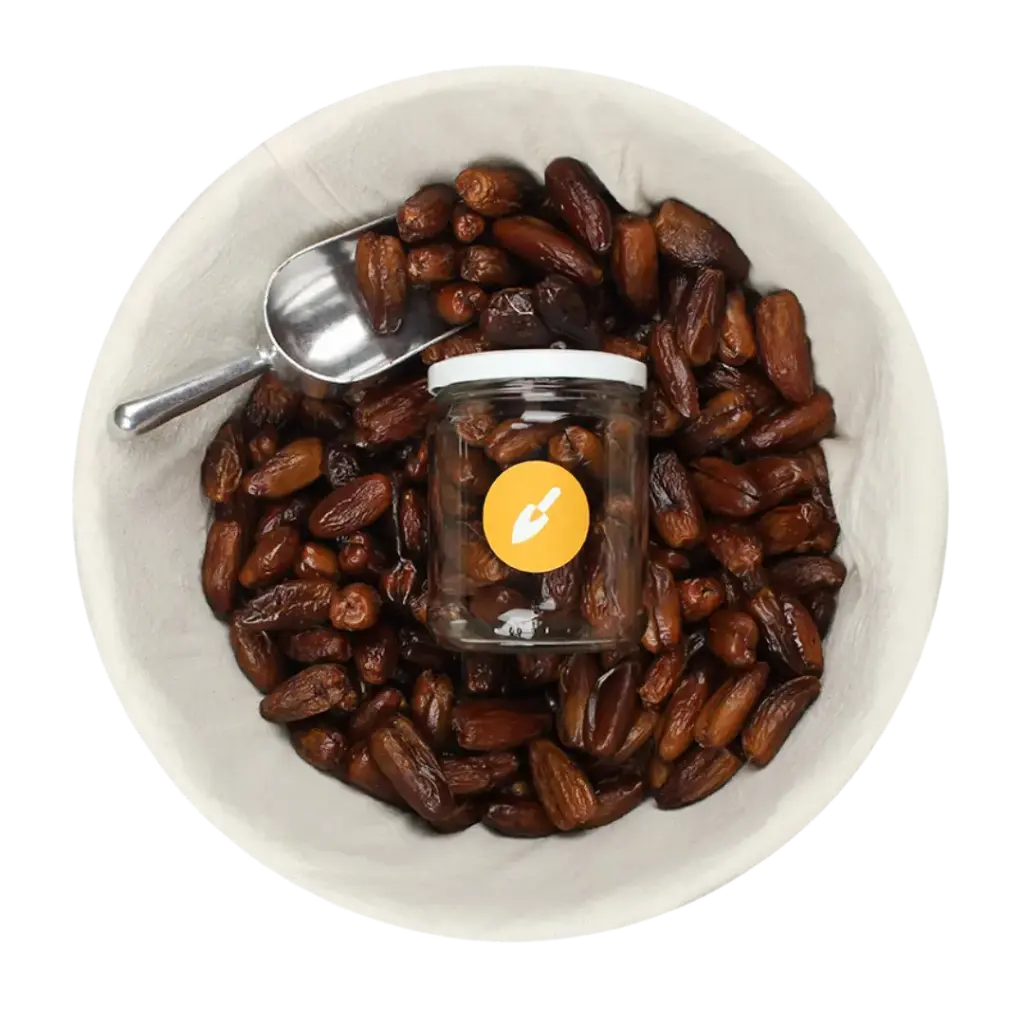 Dátil Orgánico con hueso (500gr)