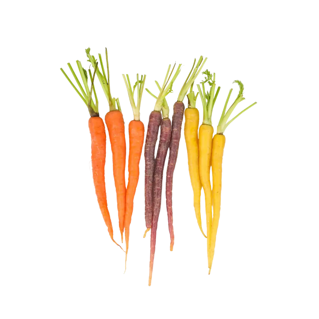 Zanahoria Arcoíris (500 gr)