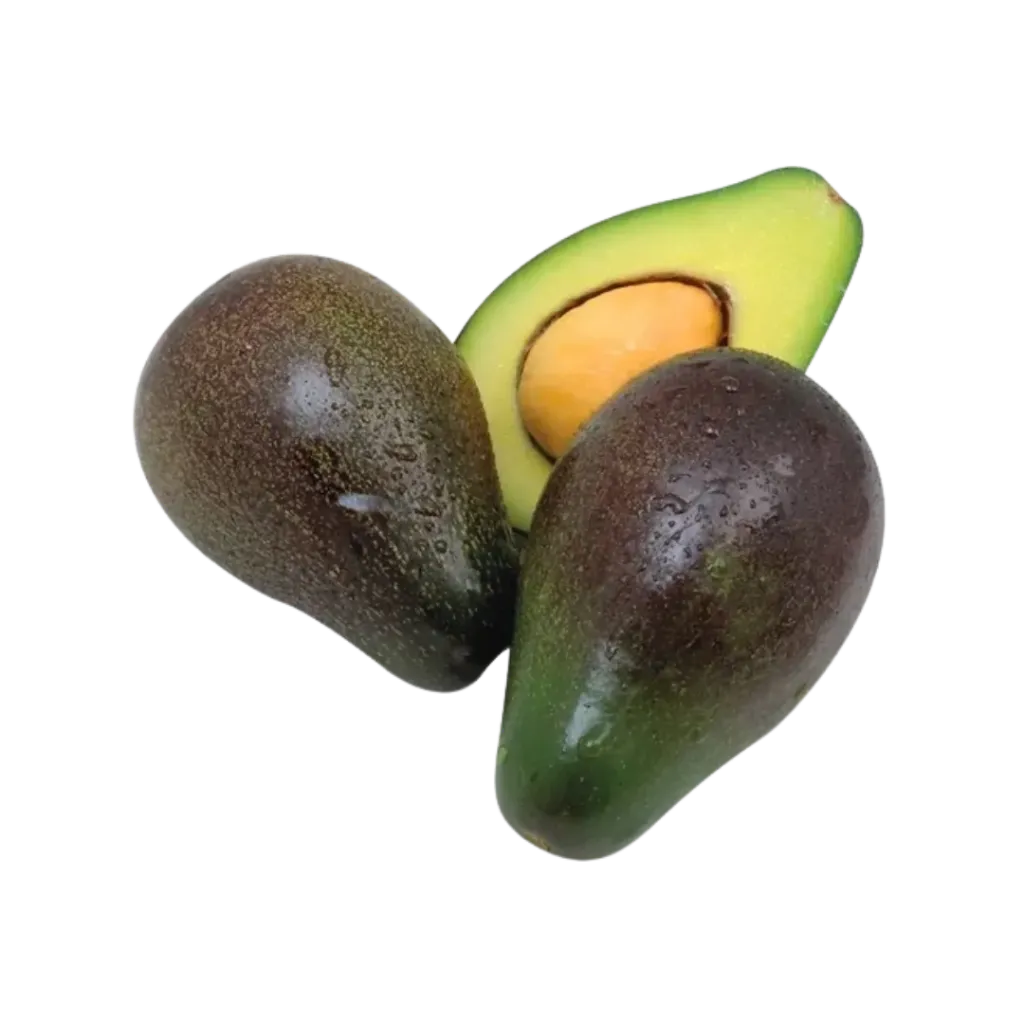 Aguacate Criollo