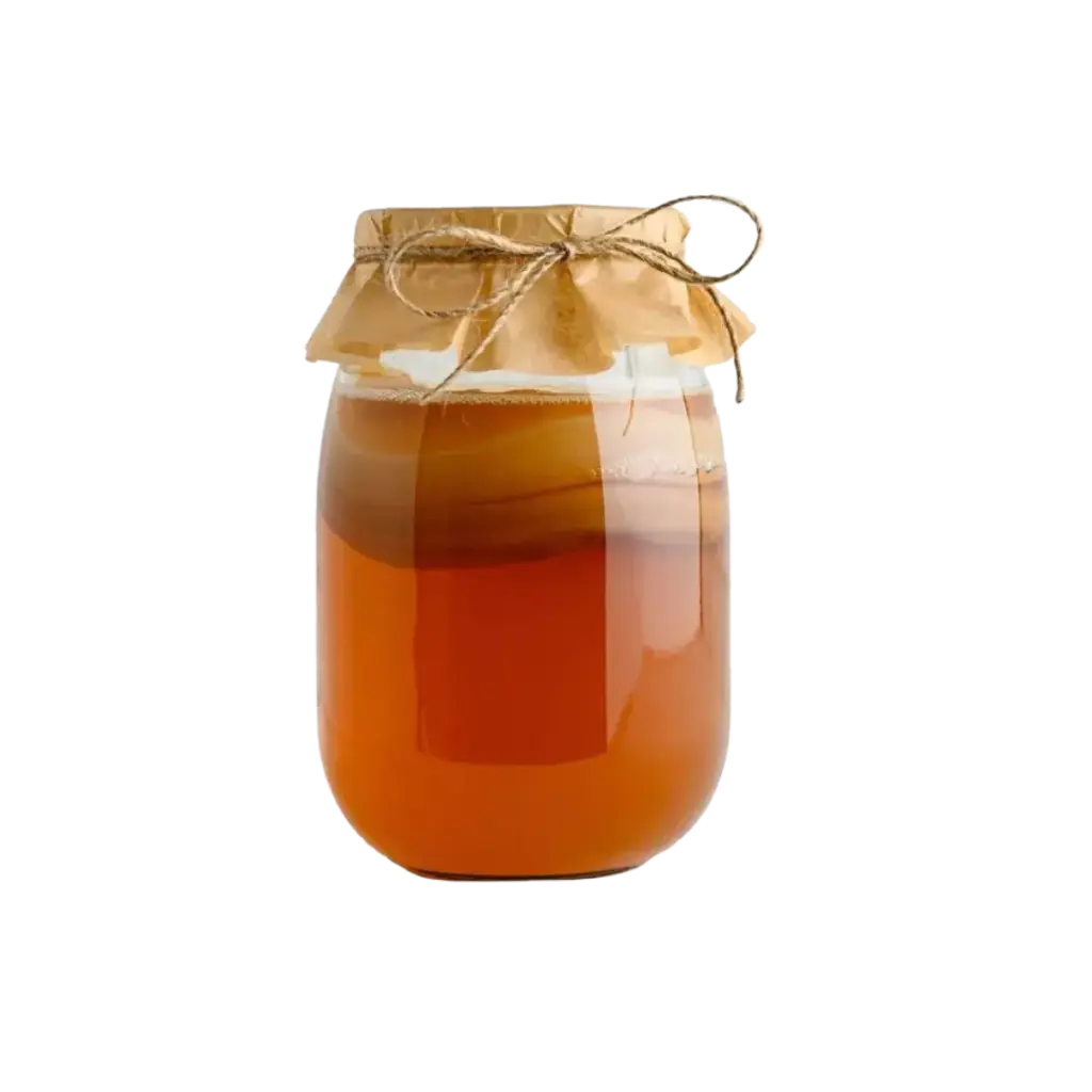 [21681063] SCOBY - Para preparar Kombucha