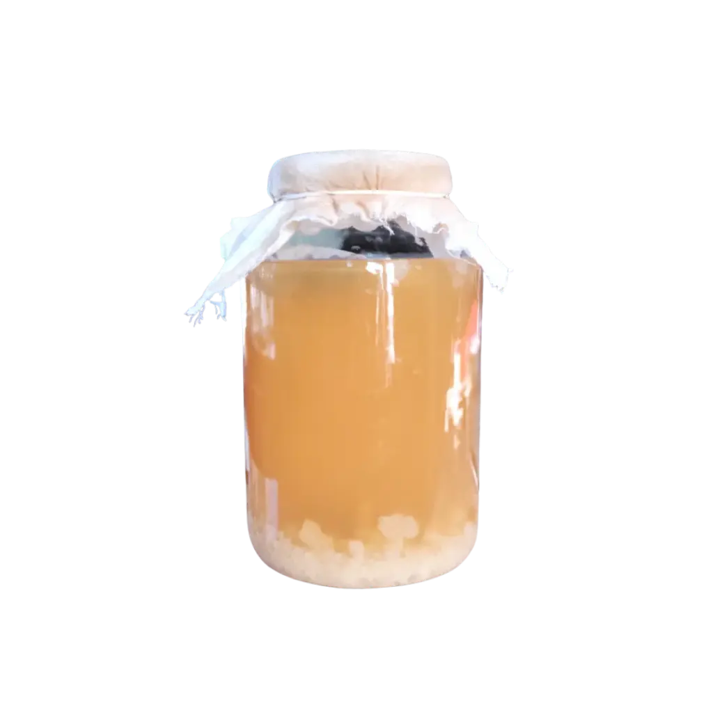 [2168216] Tibicos para Kefir Agua - Frasco