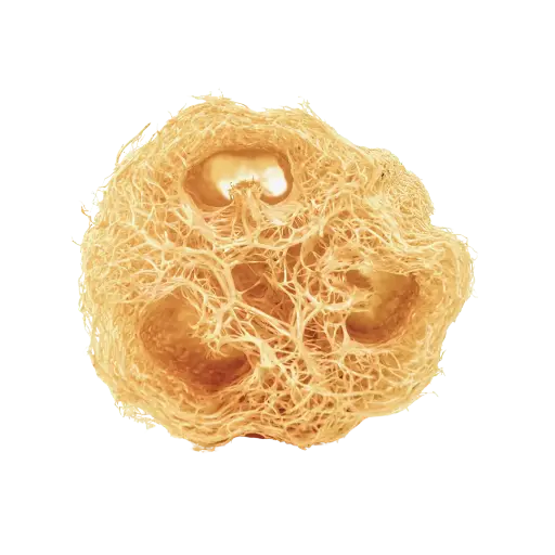 [2168191] Estropajo Multiusos Luffa Natural