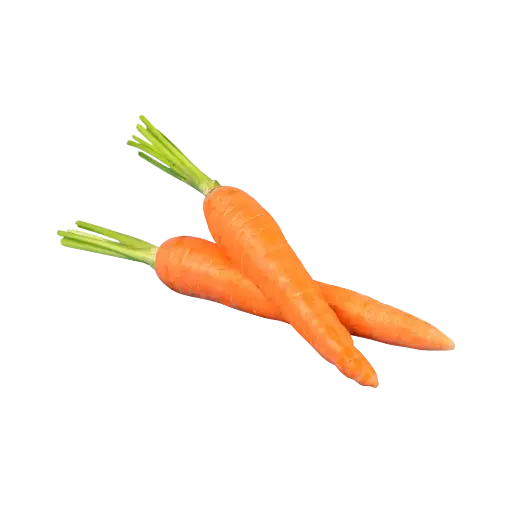 [21685450] Zanahoria Sin Hoja